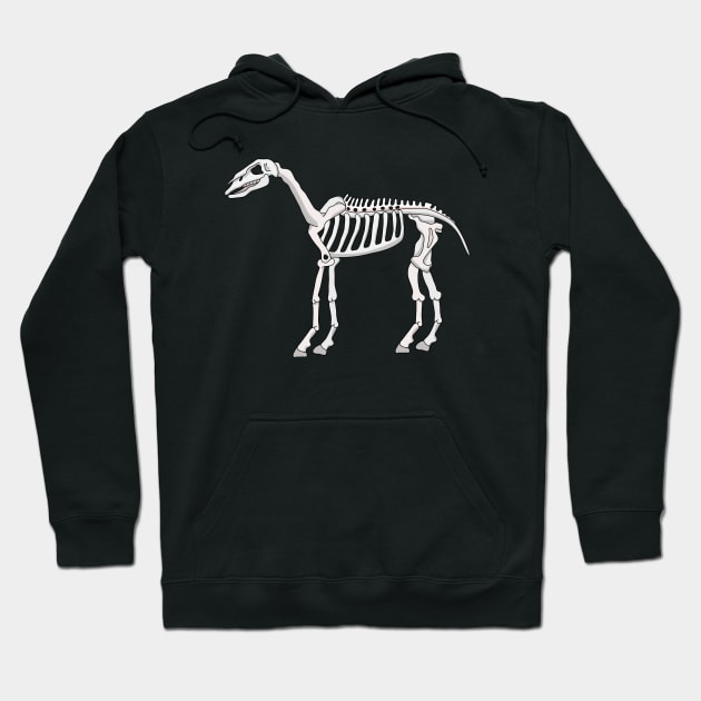 A Skeleton of a Horse Hoodie by DiegoCarvalho